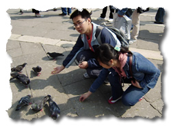 turisti cinesi a Venezia